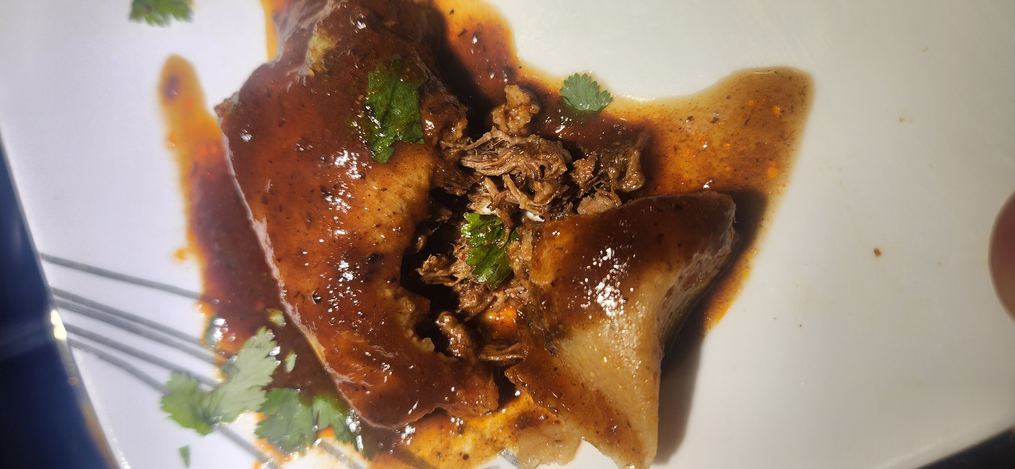 Birria tamal plated with red sauce and cilantro