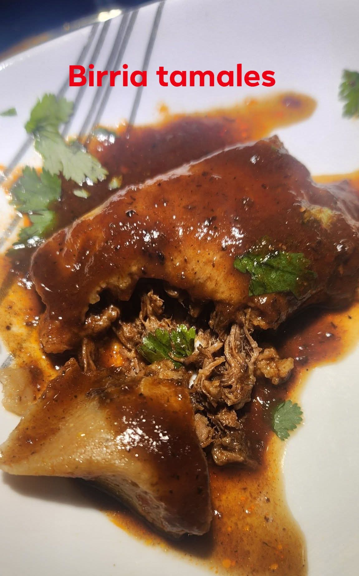Birria tamales covered in sauce and labeled birria tamales